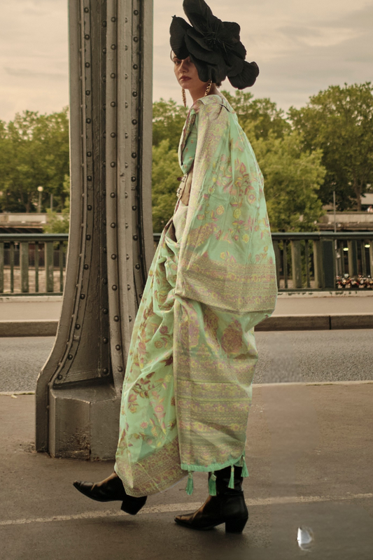 Kashmiri Organza Saree with Intricate Weaving Elegance