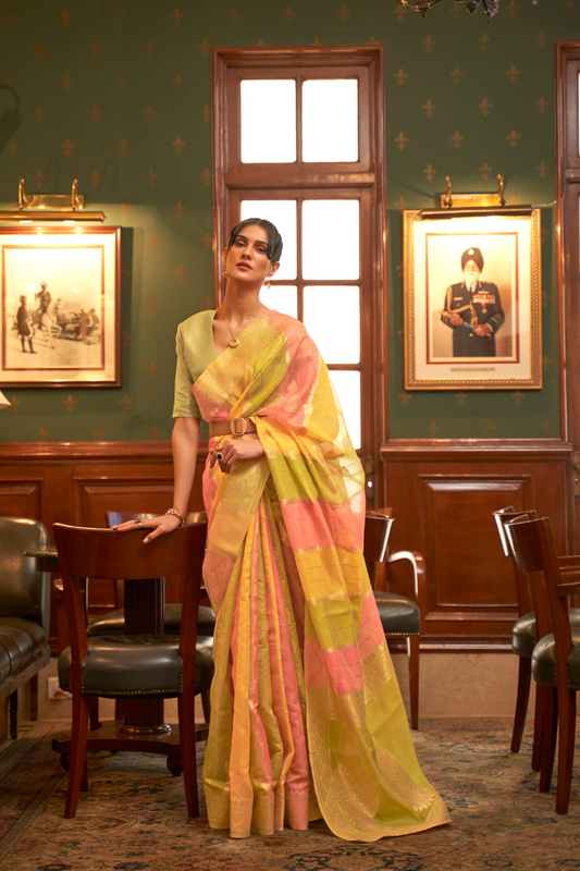 Elegant Organza Woven Saree with Subtle Traditional Charm