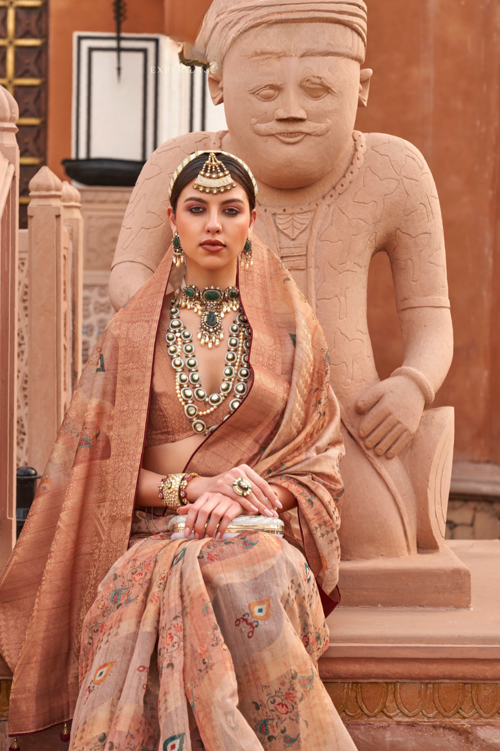 Organza Silk Saree with Jacquard Butti and Digital Print