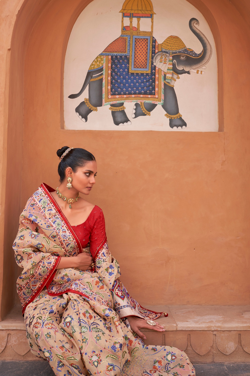 Elegant Tissue Silk Saree with Patola Designer Blouse