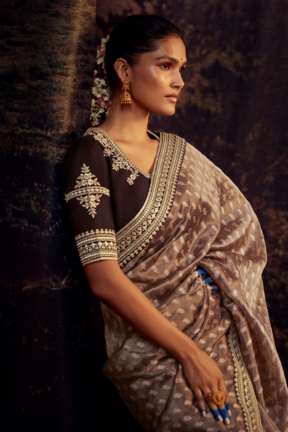 Organza Silk Saree with Embroidered Lace Border & Full Fancy Embroidery