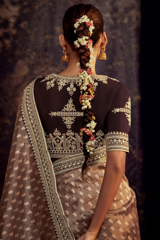 Organza Silk Saree with Embroidered Lace Border & Full Fancy Embroidery