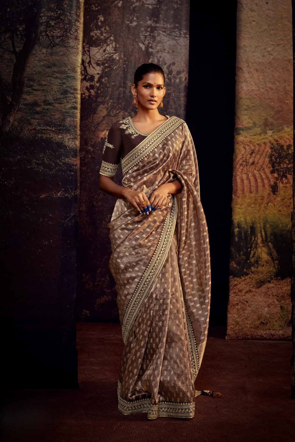 Organza Silk Saree with Embroidered Lace Border & Full Fancy Embroidery