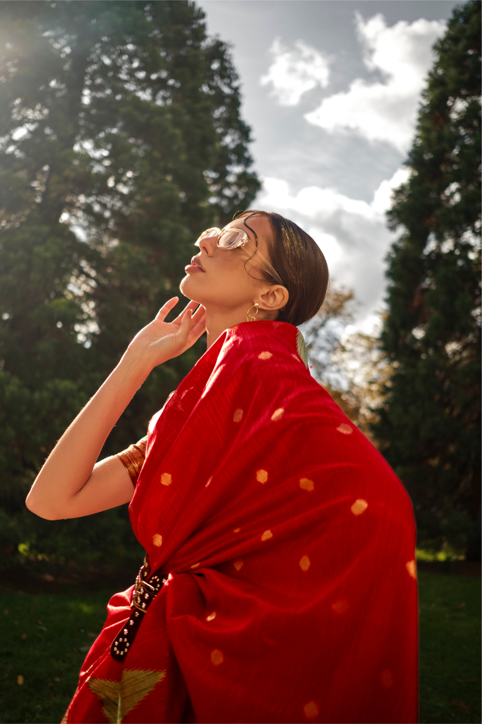 Banarasi Kadhi Silk Saree with Rich Traditional Weaving