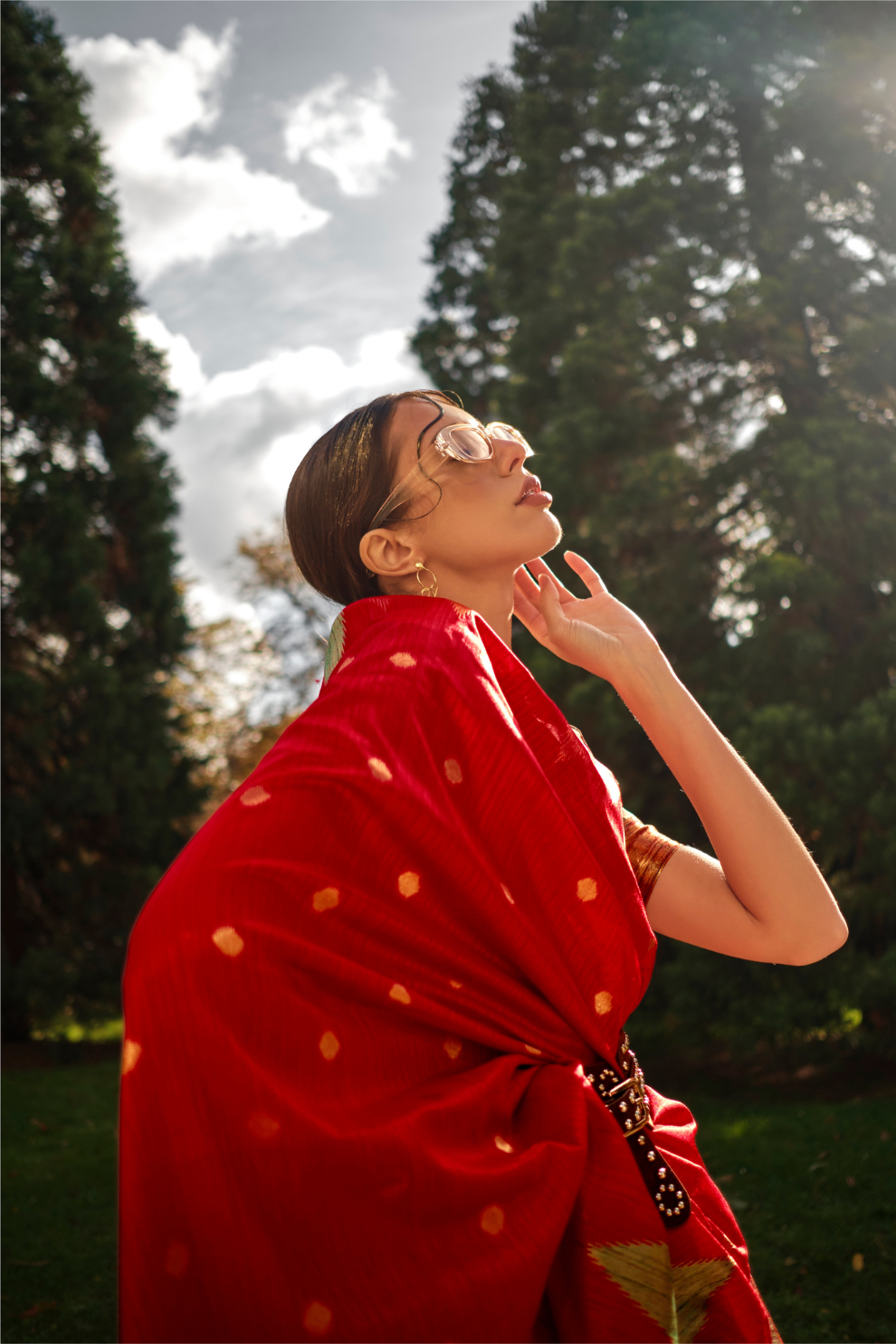 Banarasi Kadhi Silk Saree with Rich Traditional Weaving