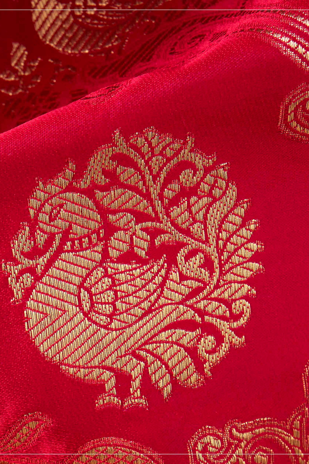 Designer Bridal Saree – Heavy Zardozi Border with Zircon & Kaanch Work