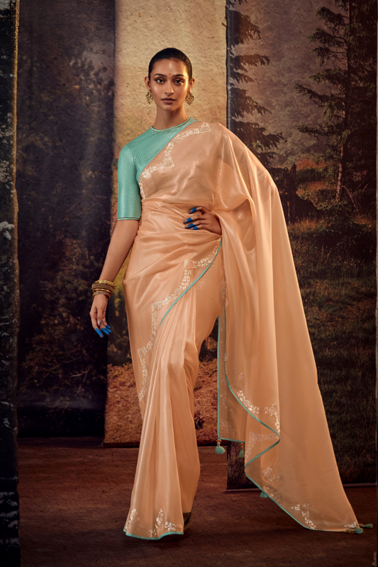 Organza Silk Saree with Embroidered Lace Border & Full Fancy Embroidery