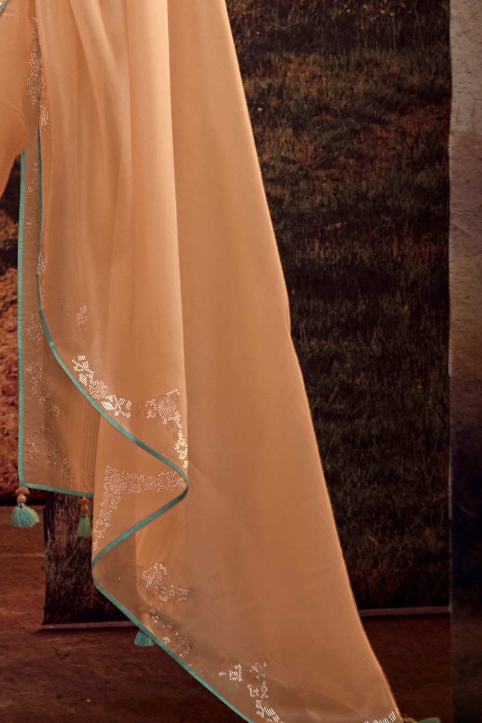 Organza Silk Saree with Embroidered Lace Border & Full Fancy Embroidery