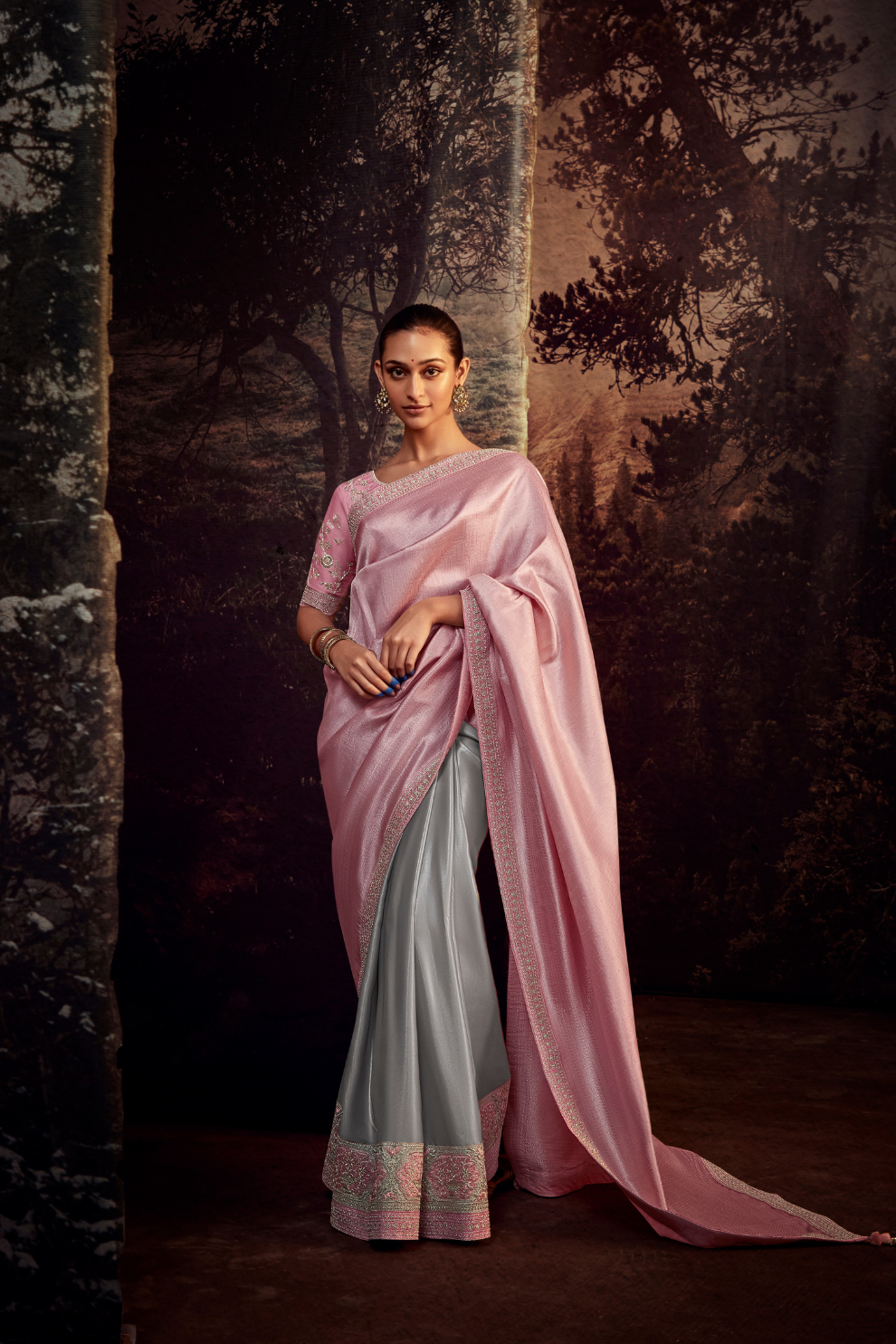 Organza Silk Saree with Embroidered Lace Border & Full Fancy Embroidery