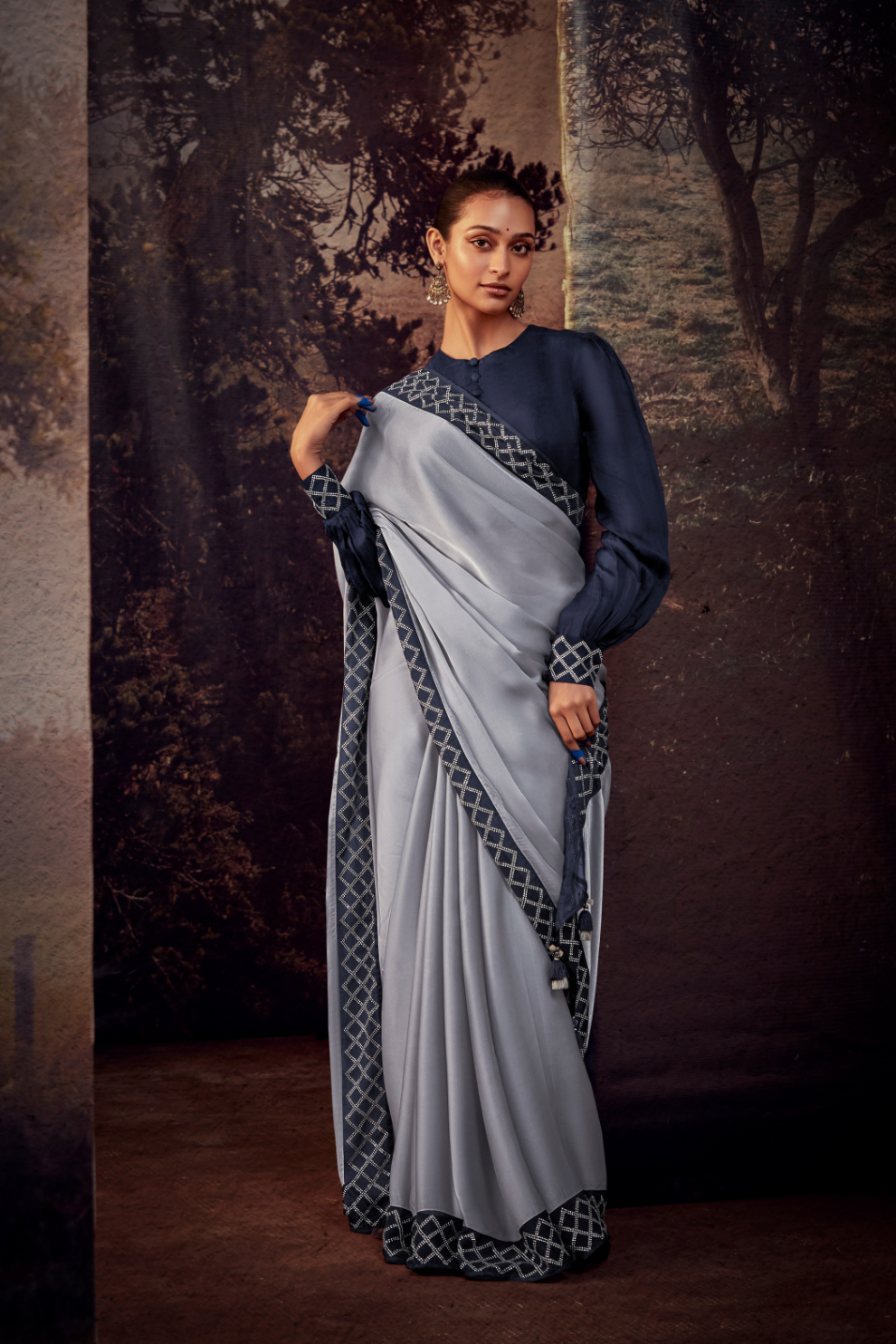 Organza Silk Saree with Embroidered Lace Border & Full Fancy Embroidery