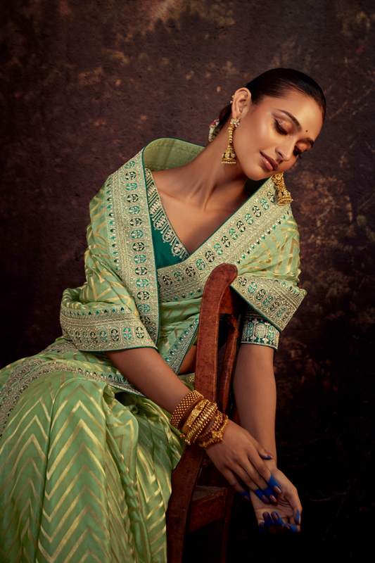 Organza Silk Saree with Embroidered Lace Border & Full Fancy Embroidery