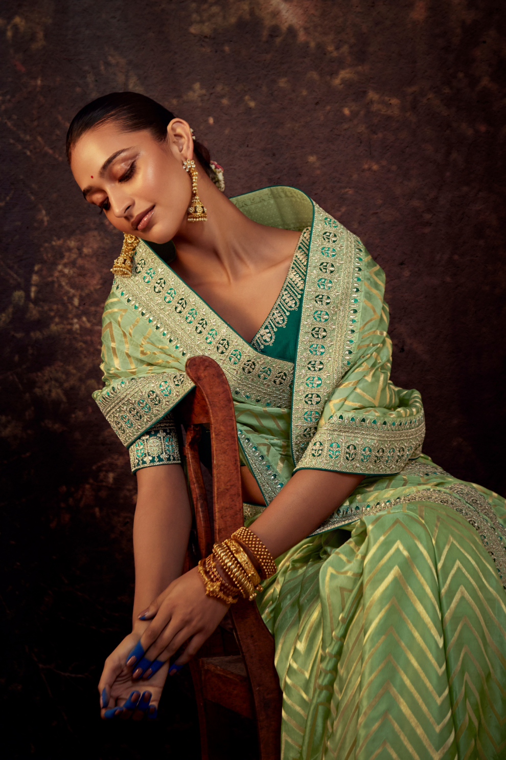 Organza Silk Saree with Embroidered Lace Border & Full Fancy Embroidery