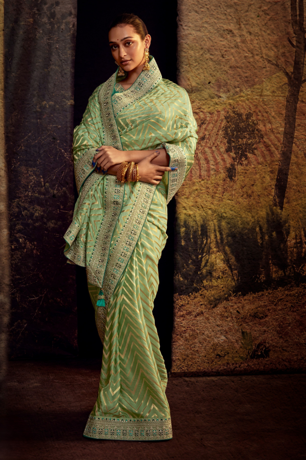 Organza Silk Saree with Embroidered Lace Border & Full Fancy Embroidery