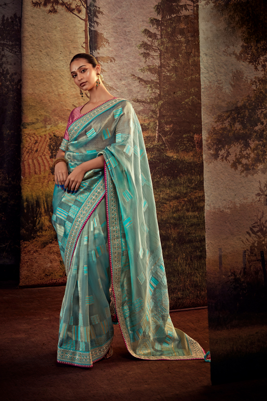 Organza Silk Saree with Embroidered Lace Border & Full Fancy Embroidery