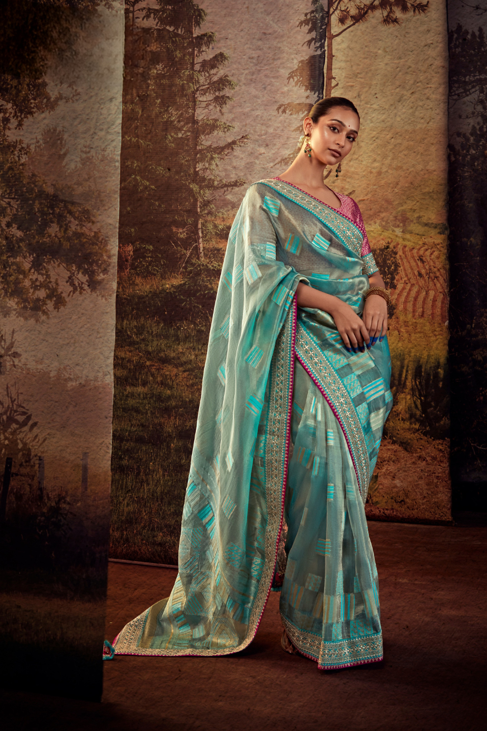 Organza Silk Saree with Embroidered Lace Border & Full Fancy Embroidery