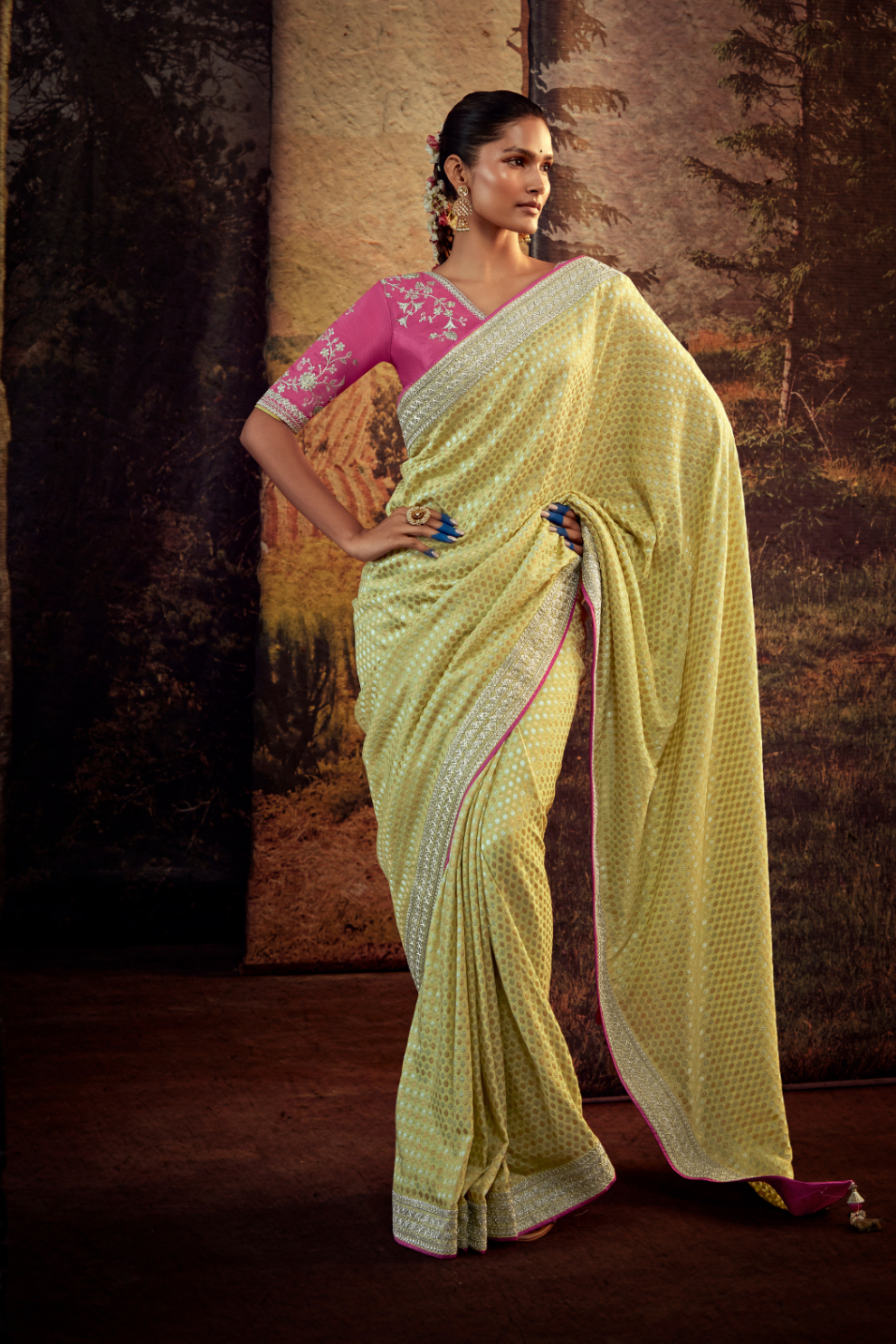 Organza Silk Saree with Embroidered Lace Border & Full Fancy Embroidery