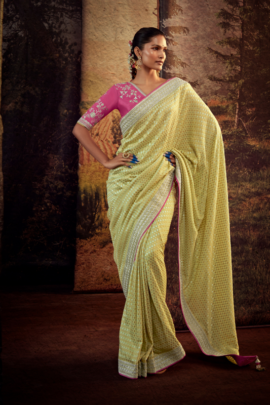 Organza Silk Saree with Embroidered Lace Border & Full Fancy Embroidery