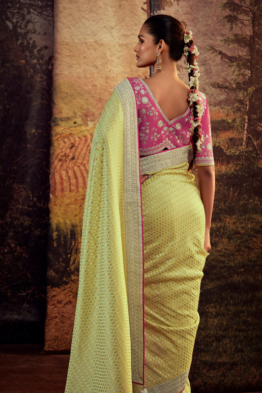 Organza Silk Saree with Embroidered Lace Border & Full Fancy Embroidery