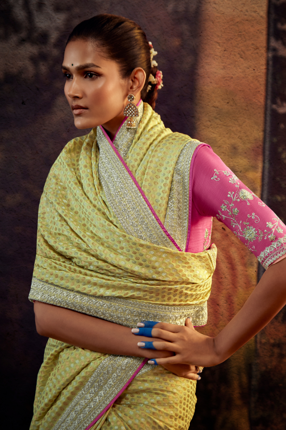 Organza Silk Saree with Embroidered Lace Border & Full Fancy Embroidery