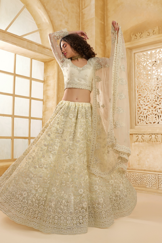 Stone_Embellished_Dark_Beige_Panelled_Style_Net_Lehenga_14 - LaVante Fashion