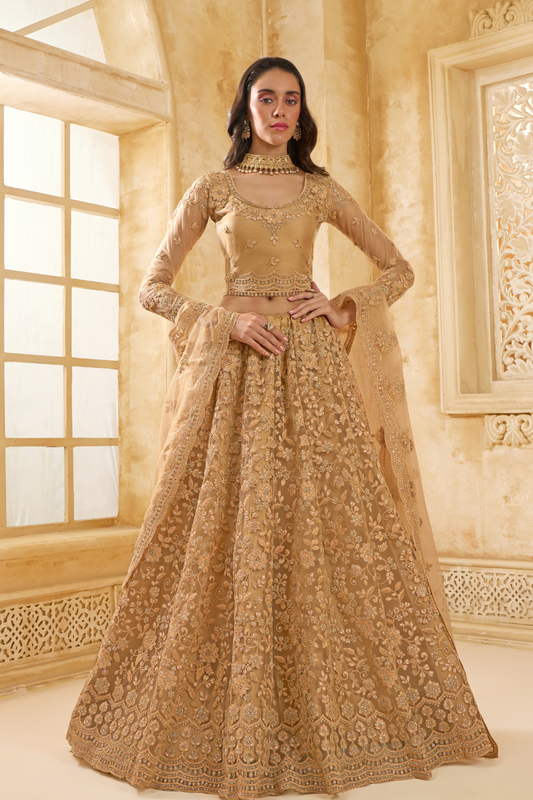 Stone_Embellished_Dark_Beige_Panelled_Style_Net_Lehenga_20 - LaVante Fashion