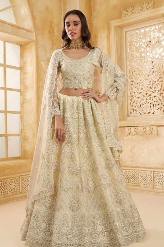 Stone_Embellished_Dark_Beige_Panelled_Style_Net_Lehenga_23 - LaVante Fashion