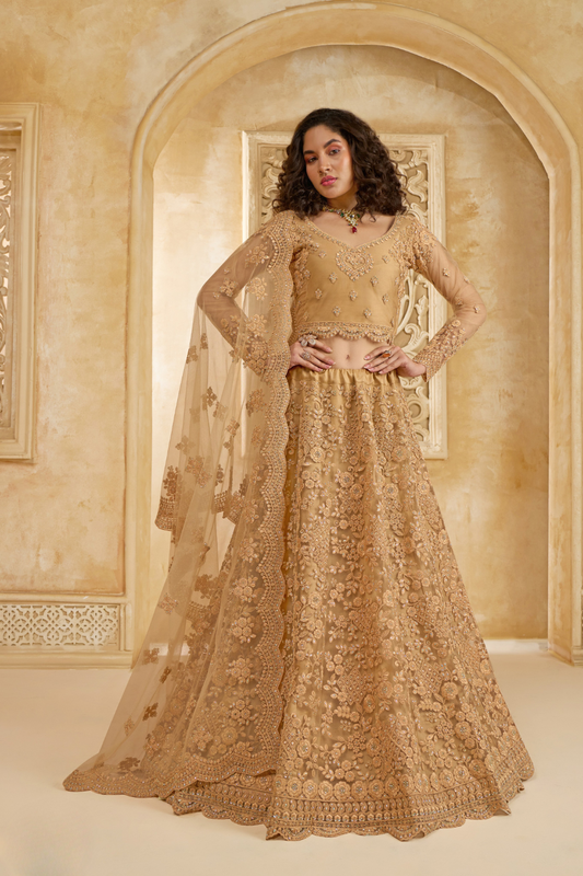 Stone_Embellished_Dark_Beige_Panelled_Style_Net_Lehenga_45 - LaVante Fashion