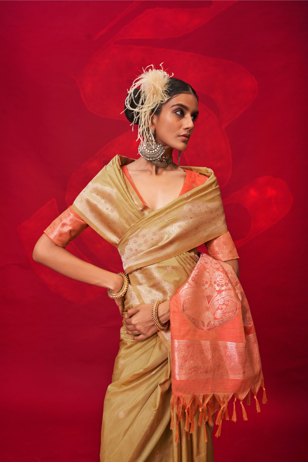 Tussar Silk Handloom Saree with Contrast Ikkat Pallu & Blouse