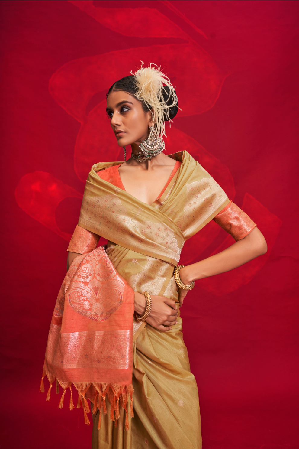 Tussar Silk Handloom Saree with Contrast Ikkat Pallu & Blouse