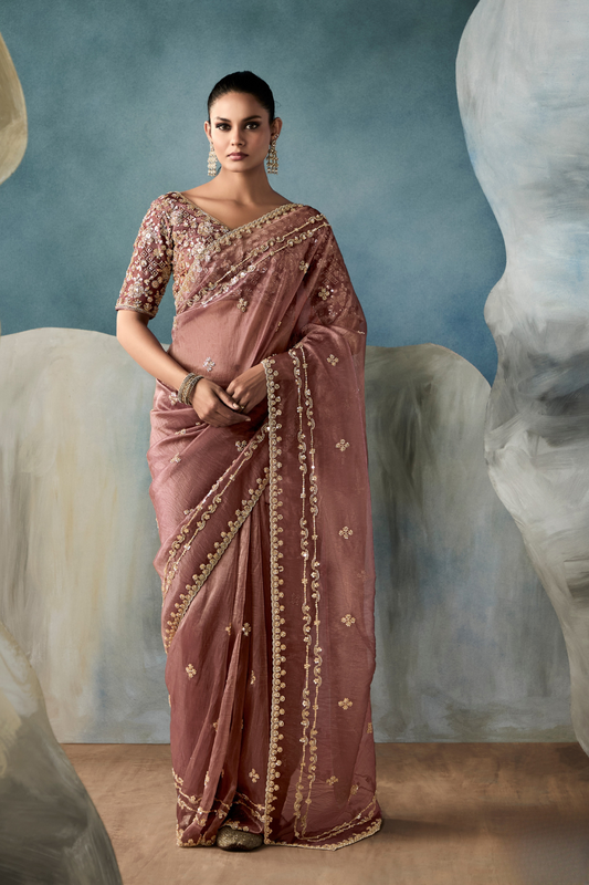 Tissue Saree with Handwork Detailing and Designer Cut Work Border