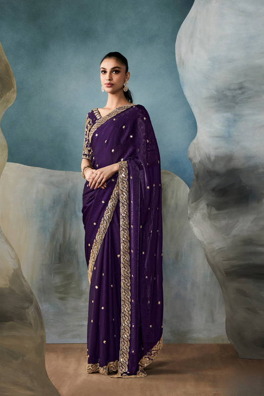 Tissue Saree with Handwork Detailing and Designer Cut Work Border
