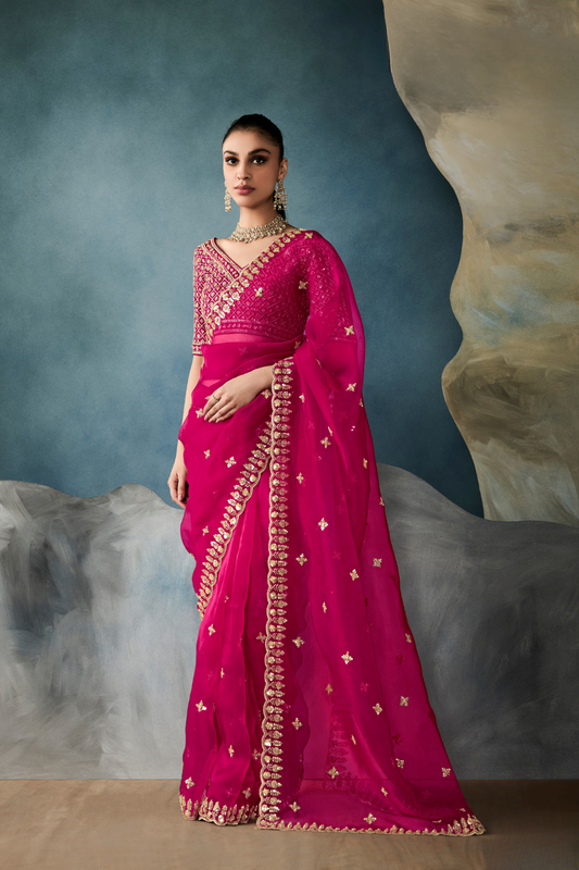 Tissue Saree with Handwork Detailing and Designer Cut Work Border