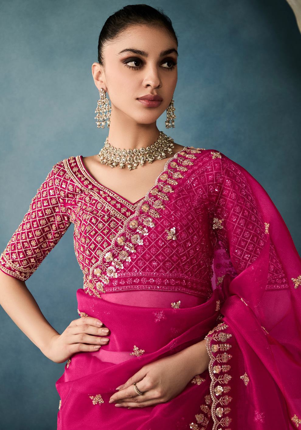 Tissue Saree with Handwork Detailing and Designer Cut Work Border