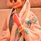 Beige Brown Floral Printed Designer Organza Silk Saree