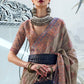 Thunder Grey Kashmiri Handloom Weaving Silk Saree