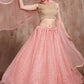 Baby Pink Designer Soft Net Lehenga with Sequins & Zari work