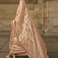 Beige Brown Zari Handloom Woven Organza Silk Saree