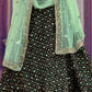 Black & Green Designer Lehenga Choli with Sequins work