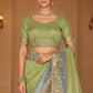 Light Green Soft Silk Saree Elegant Festive Wedding Party Wear Look