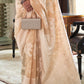 Tortilla Brown Lucknowi Chikankari Weaving Silk Saree