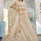 Bisque Brown Organza Lehenga Choli with Foil,Thread & Mirror work