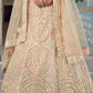 Bisque Brown Organza Lehenga Choli with Foil,Thread & Mirror work