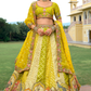 Fancy_silk_lehenga_with_embroidery_and_cut_work_border_3 - LaVante Fashion