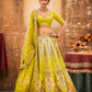 Designer Shaded Silk Lehenga with Embroidery & Cutwork Outfit