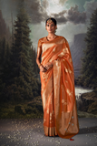 LAVANTEFASHIONEthnicMotifsWovenDesignTissueBanarasiSaree_16 - LaVante Fashion
