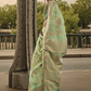 Kashmiri Organza Saree with Intricate Weaving Elegance
