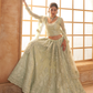 Elegant Pista Green Net Lehenga Choli With Rich Embroidery
