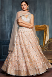 LAVANTEFASHIONNETEMBROIDEREDLEHENGA_1 - LaVante Fashion