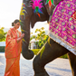 Elegant Kanjivaram Silk Saree with Rich Handloom Weaving