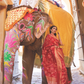 Designer Kanjivaram Saree with Sequin Woven Detailing